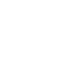 Desiger